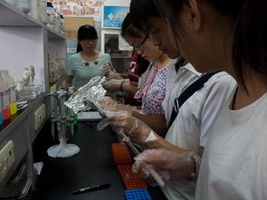 问学斋走进实验室第十二场 与昆虫牵牵手——纳问实验室探秘之旅