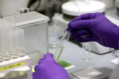 疑云密布 三问美军海外生物实验室的隐秘活动